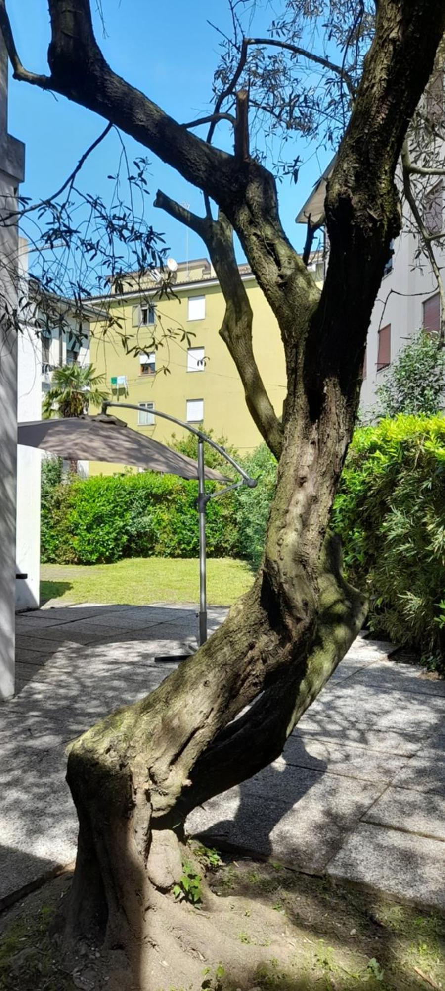 Villa Andrea メストレ エクステリア 写真